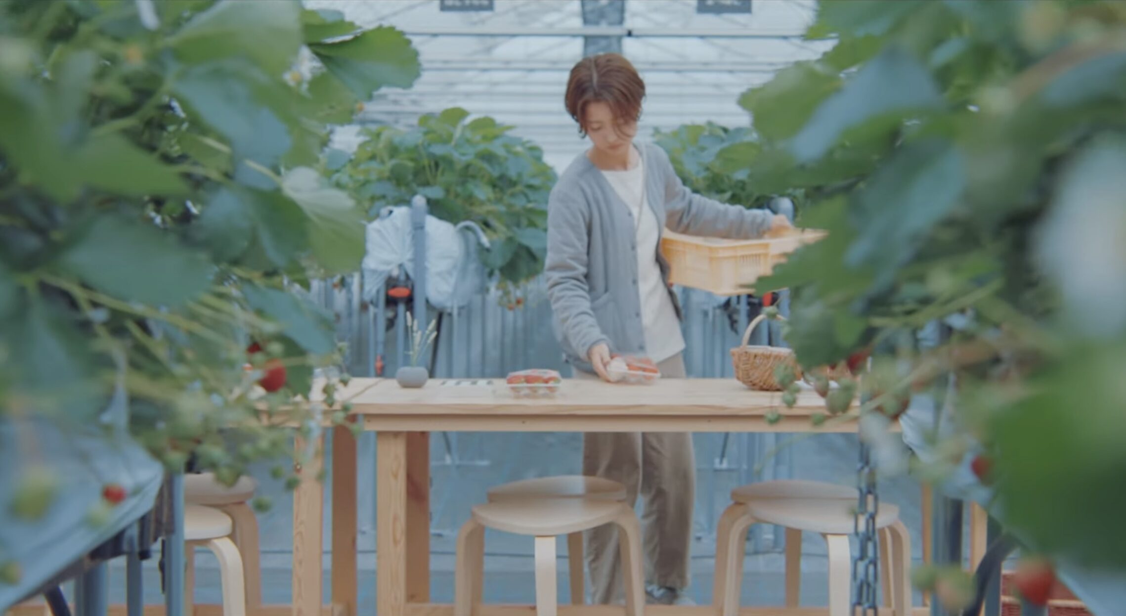 苺屋あとりゑ Strawberry in the night2023